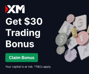 Link to the XM broker website Link to the XM broker website